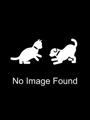 Adoptable pet